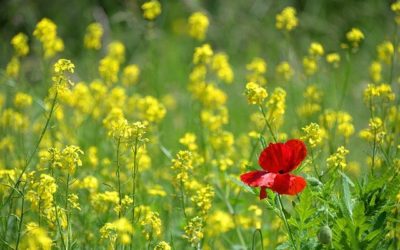 Comprendre le positionnement marketing.